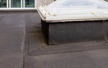 disadvantages of Great Lyth flat roofs